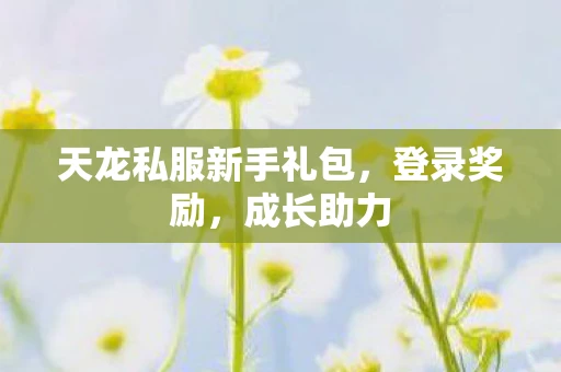 天龙私服新手礼包，登录奖励，成长助力