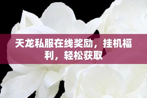 天龙私服在线奖励，挂机福利，轻松获取