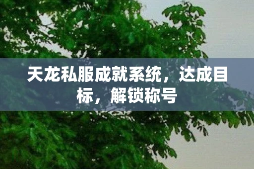 天龙私服成就系统，达成目标，解锁称号