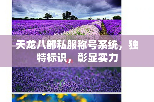 天龙八部私服称号系统，独特标识，彰显实力