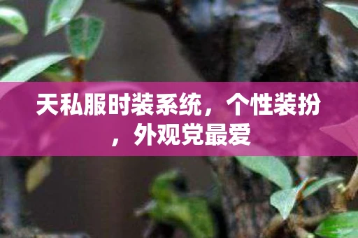 天私服时装系统，个性装扮，外观党最爱