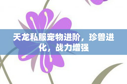 天龙私服宠物进阶，珍兽进化，战力增强