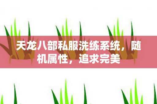 天龙八部私服洗练系统，随机属性，追求完美