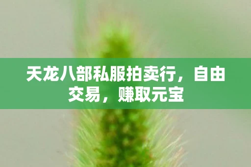 天龙八部私服拍卖行，自由交易，赚取元宝