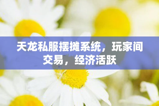 天龙私服摆摊系统，玩家间交易，经济活跃
