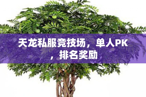 天龙私服竞技场，单人PK，排名奖励