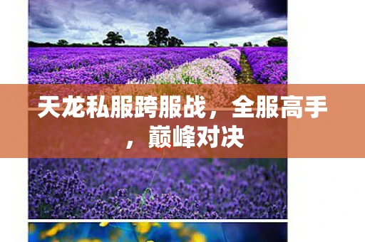 天龙私服跨服战，全服高手，巅峰对决