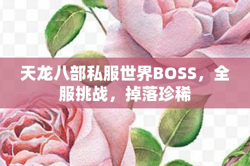 天龙八部私服世界BOSS，全服挑战，掉落珍稀