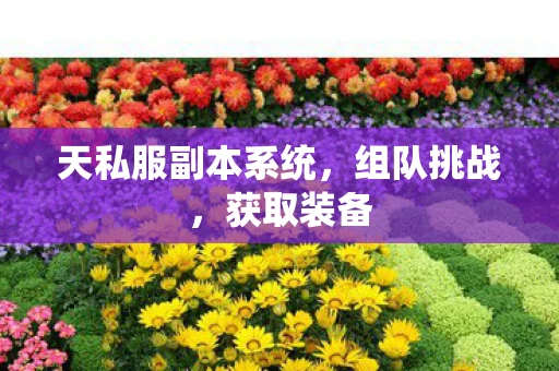 天私服副本系统，组队挑战，获取装备