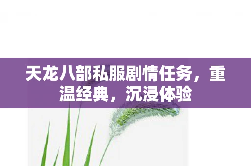 天龙八部私服剧情任务，重温经典，沉浸体验