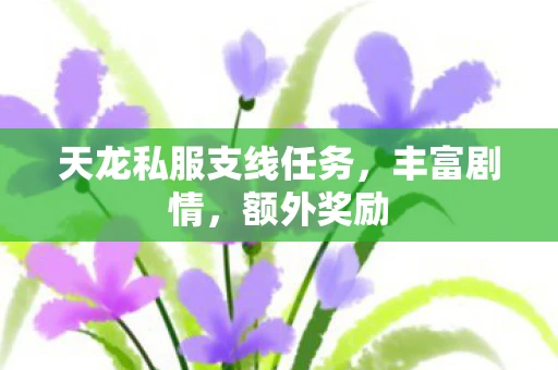 天龙私服支线任务，丰富剧情，额外奖励