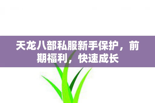 天龙八部私服新手保护，前期福利，快速成长