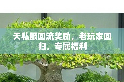 天私服回流奖励，老玩家回归，专属福利