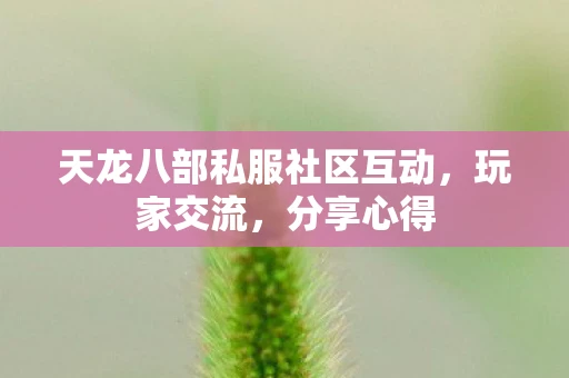 天龙八部私服社区互动，玩家交流，分享心得