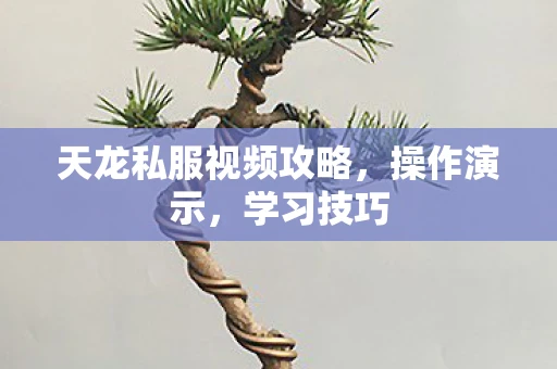天龙私服视频攻略，操作演示，学习技巧