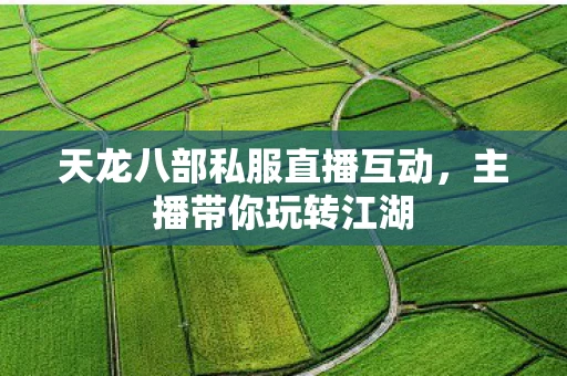 天龙八部私服直播互动，主播带你玩转江湖