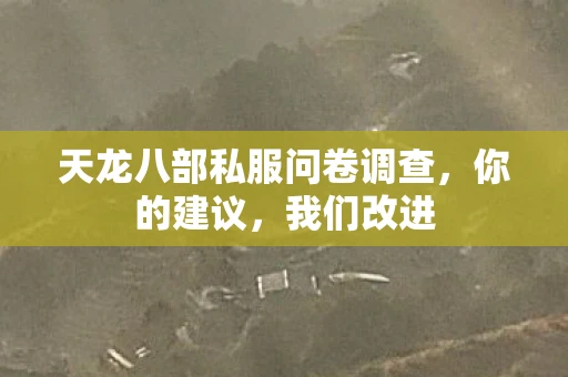 天龙八部私服问卷调查，你的建议，我们改进