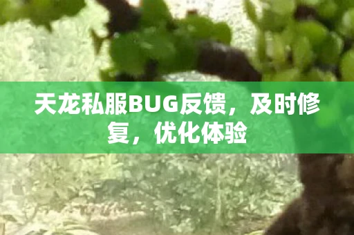 天龙私服BUG反馈，及时修复，优化体验