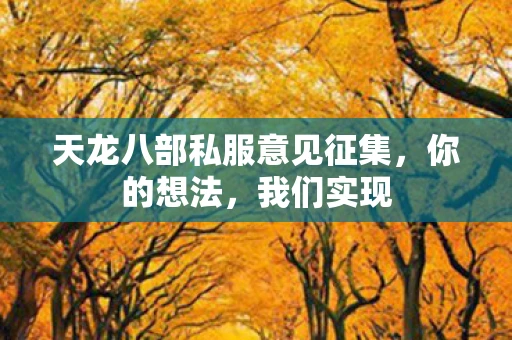 天龙八部私服意见征集，你的想法，我们实现