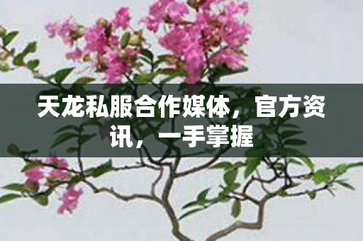 天龙私服合作媒体，官方资讯，一手掌握