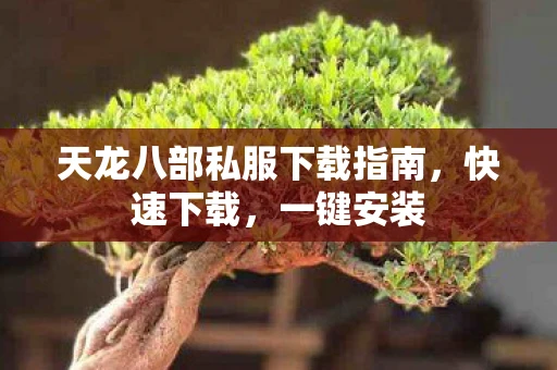 天龙八部私服下载指南，快速下载，一键安装