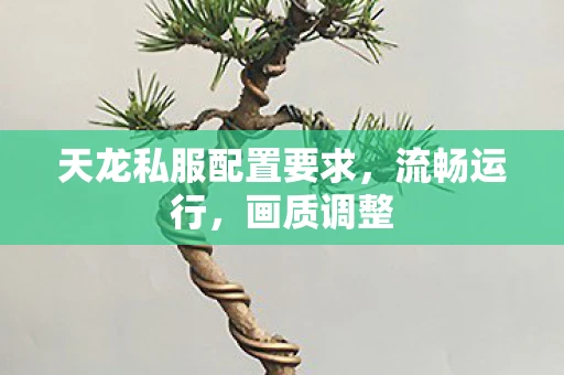 天龙私服配置要求，流畅运行，画质调整