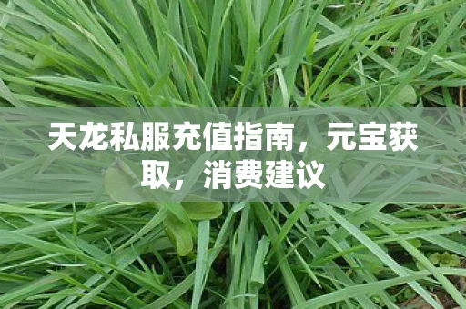 天龙私服充值指南，元宝获取，消费建议