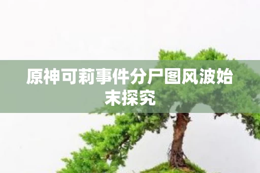 原神可莉事件分尸图风波始末探究图片