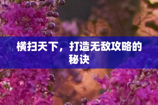 横扫天下，打造无敌攻略的秘诀