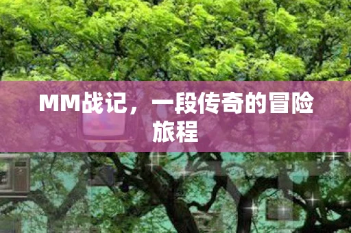 MM战记，一段传奇的冒险旅程