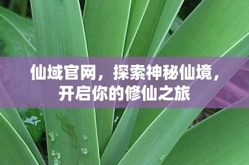 仙域官网，探索神秘仙境，开启你的修仙之旅