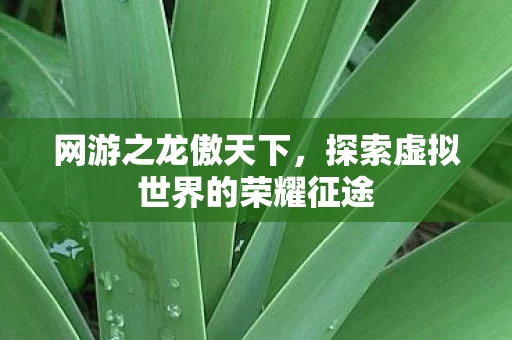探索虚拟世界的荣耀征途图片