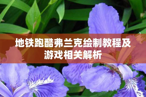 地铁跑酷弗兰克绘制教程及游戏相关解析图片