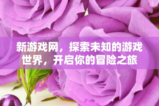 新游戏网，探索未知的游戏世界，开启你的冒险之旅