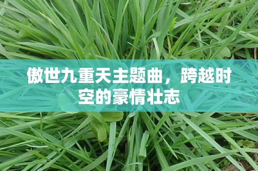 傲世九重天主题曲，跨越时空的豪情壮志