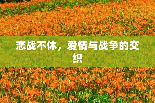 恋战不休，爱情与战争的交织
