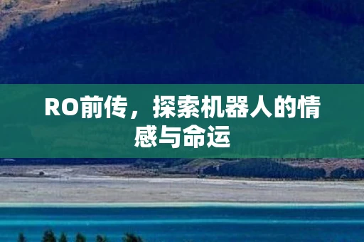 RO前传，探索机器人的情感与命运