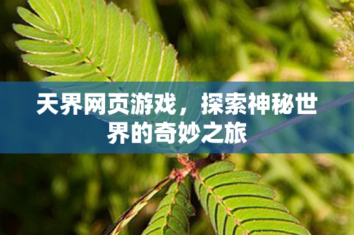 天界网页游戏，探索神秘世界的奇妙之旅