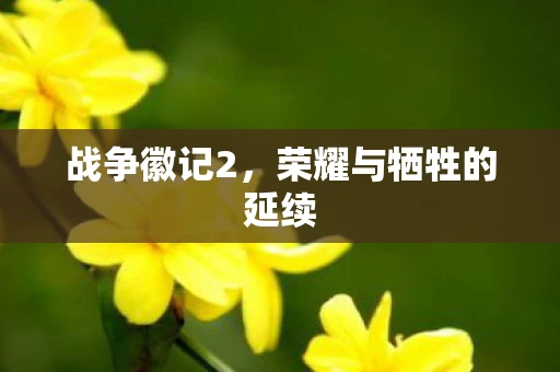 战争徽记2，荣耀与牺牲的延续