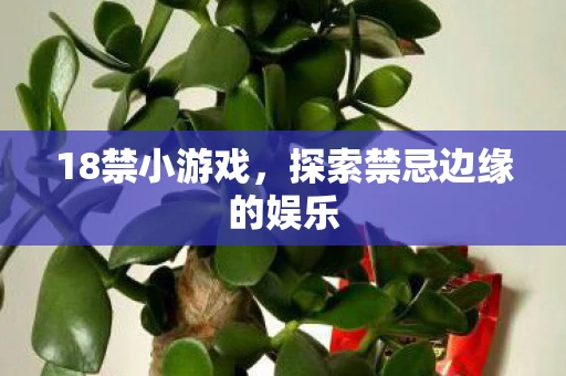 18禁小游戏，探索禁忌边缘的娱乐
