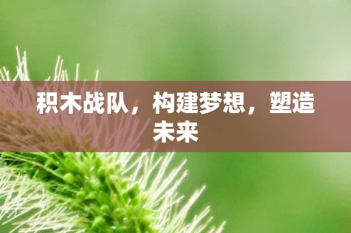 积木战队，构建梦想，塑造未来