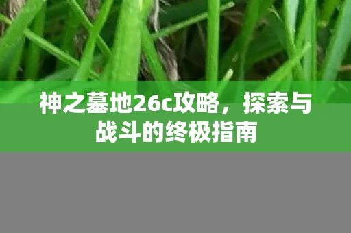 探索与战斗的终极指南图片