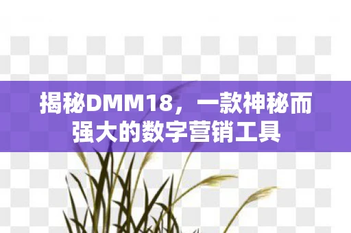 揭秘DMM18，一款神秘而强大的数字营销工具