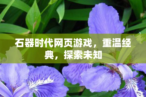 石器时代网页游戏，重温经典，探索未知