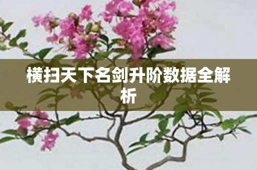 横扫天下名剑升阶数据全解析