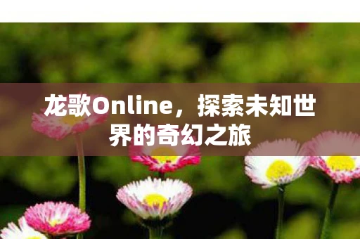 龙歌Online，探索未知世界的奇幻之旅