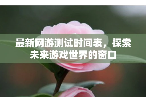 最新网游测试时间表，探索未来游戏世界的窗口