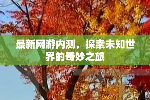 最新网游内测，探索未知世界的奇妙之旅