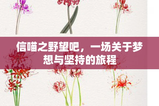 信喵之野望吧，一场关于梦想与坚持的旅程