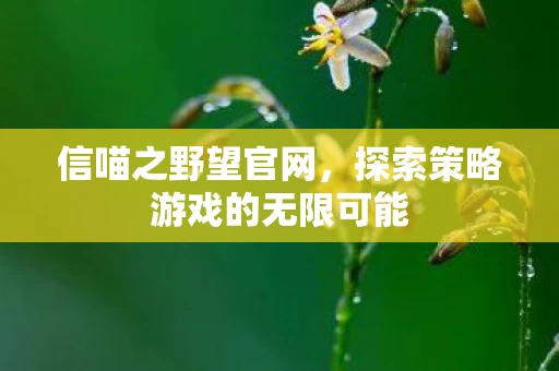 信喵之野望官网，探索策略游戏的无限可能